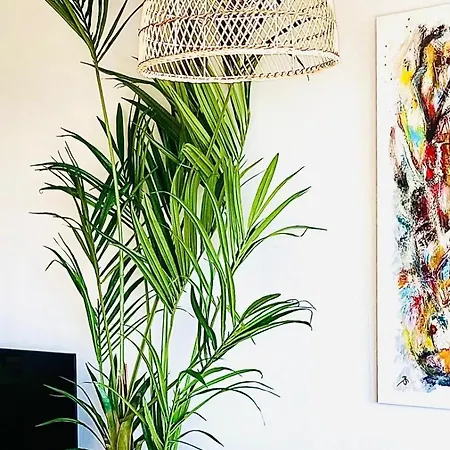 Tierra De Mar 94 By Homeprive